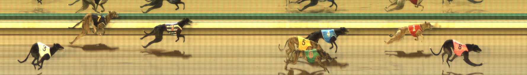 Photo finish for The Meadows Race 5