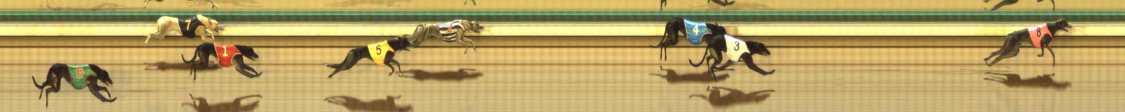 Photo finish for The Meadows Race 6
