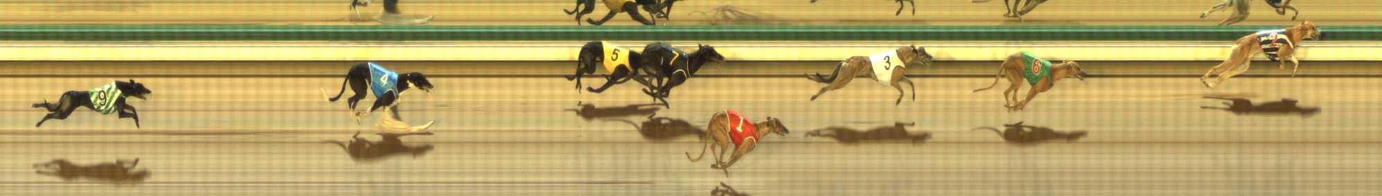 Photo finish for The Meadows Race 7