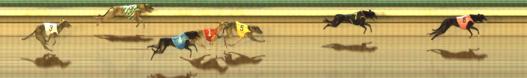 Photo finish for The Meadows Race 9