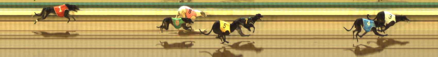 Photo finish for The Meadows Race 12