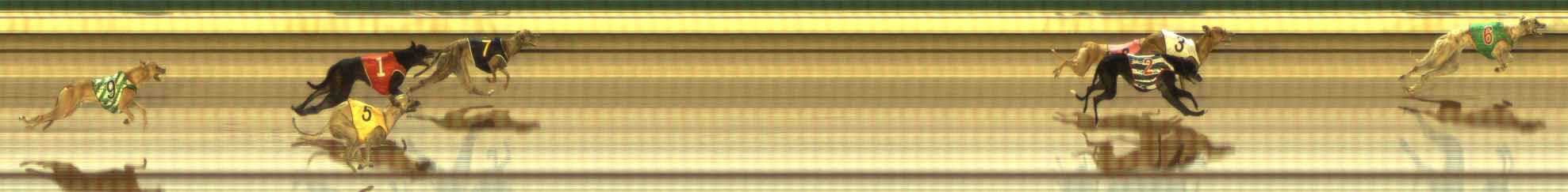 Photo finish for The Meadows Race 1