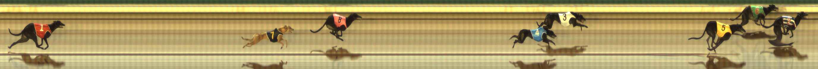 Photo finish for The Meadows Race 3