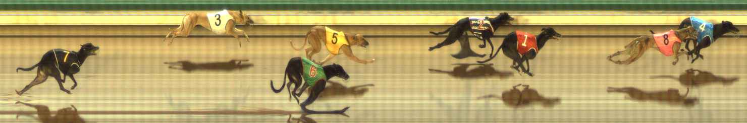 Photo finish for The Meadows Race 6