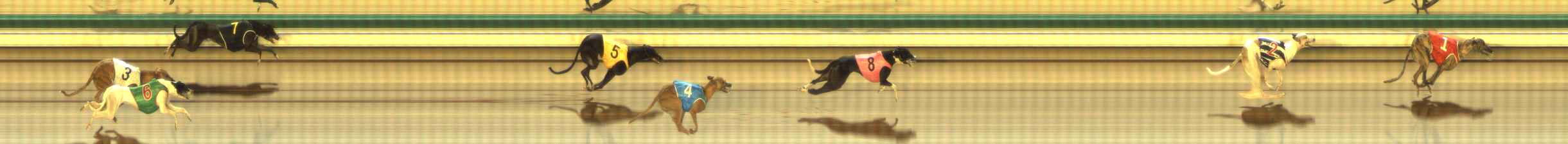 Photo finish for The Meadows Race 7