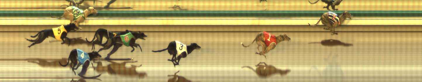 Photo finish for The Meadows Race 8