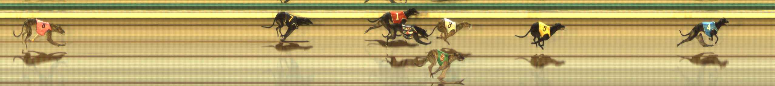 Photo finish for The Meadows Race 10