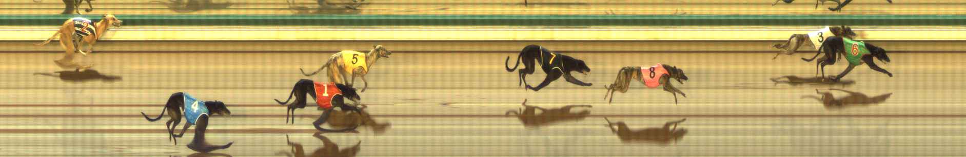 Photo finish for The Meadows Race 11