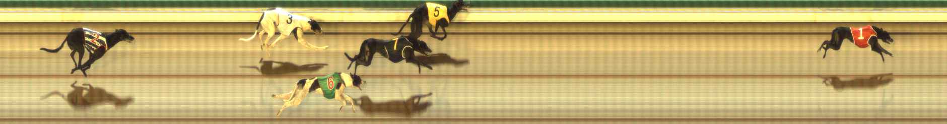 Photo finish for The Meadows Race 12