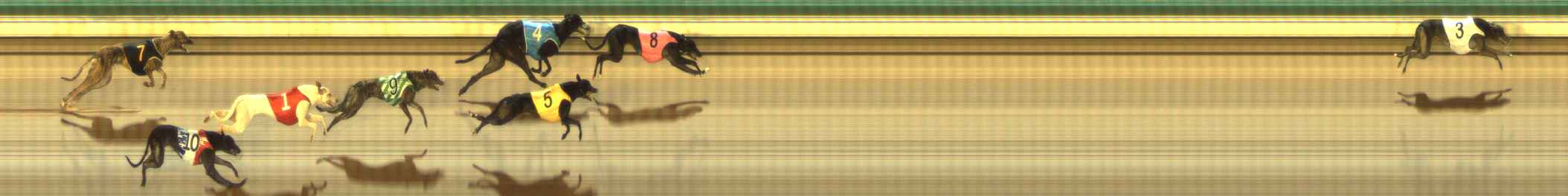 Photo finish for The Meadows Race 1
