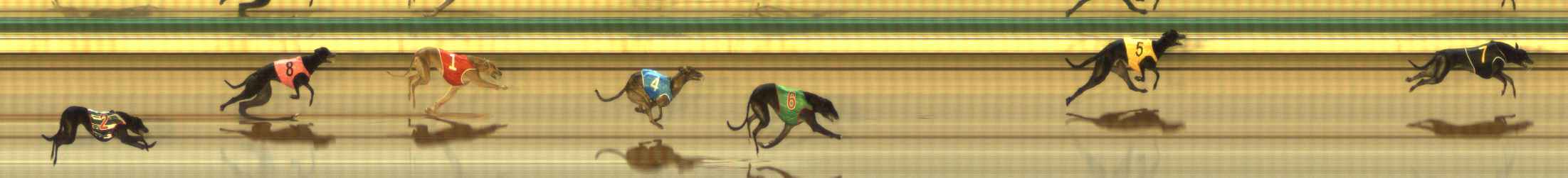 Photo finish for The Meadows Race 2