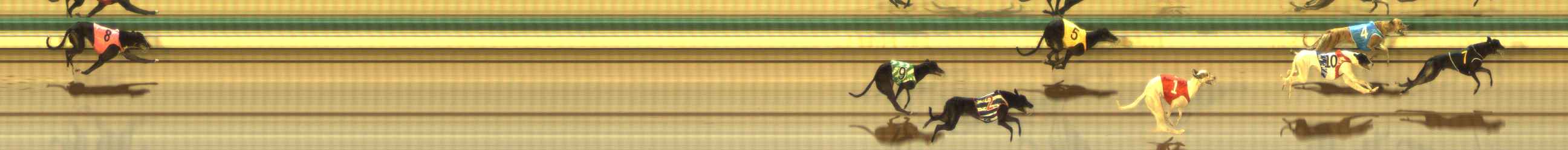 Photo finish for The Meadows Race 3