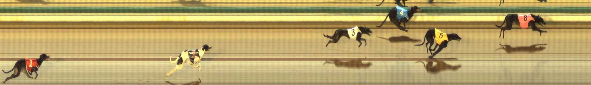 Photo finish for The Meadows Race 4