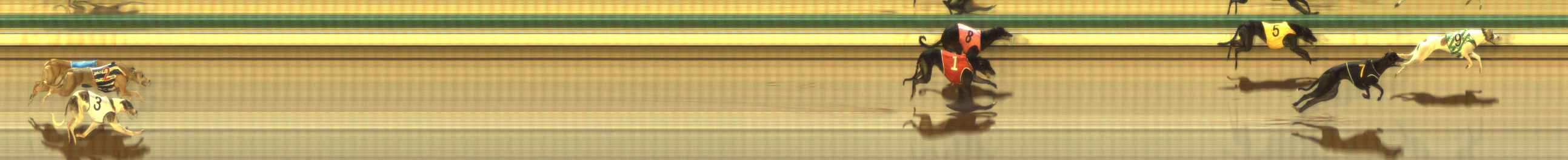 Photo finish for The Meadows Race 5