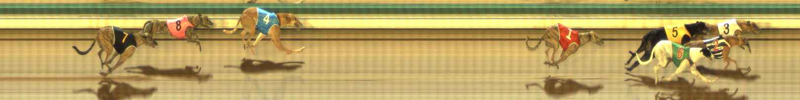 Photo finish for The Meadows Race 7