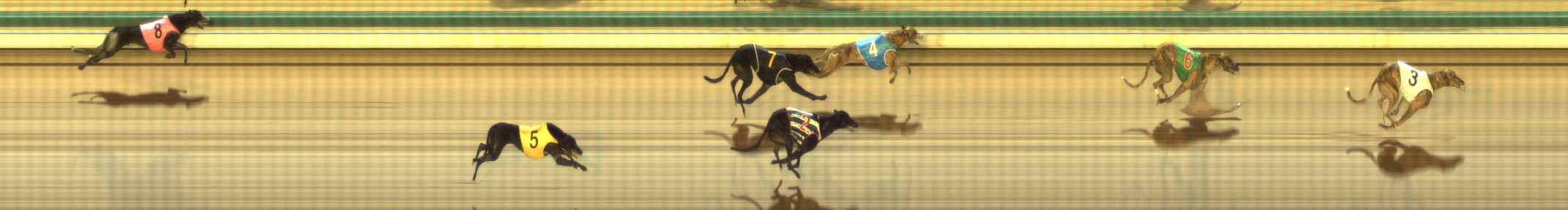 Photo finish for The Meadows Race 8