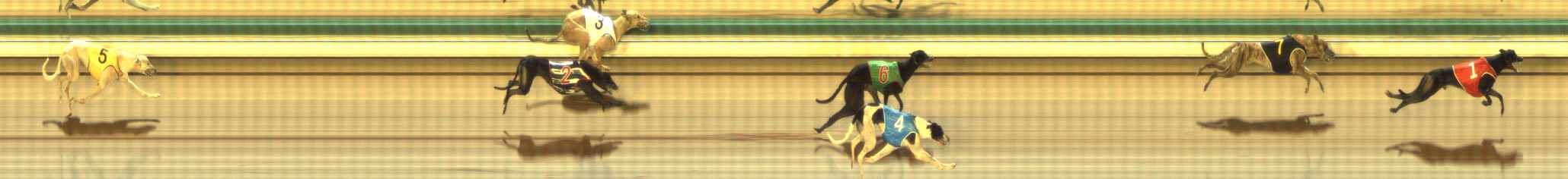 Photo finish for The Meadows Race 9