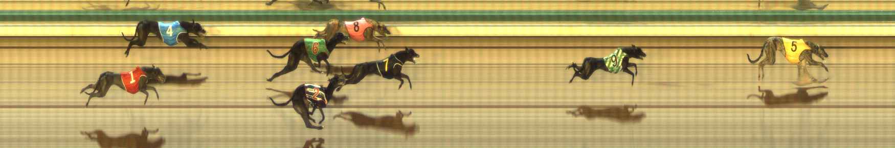 Photo finish for The Meadows Race 10
