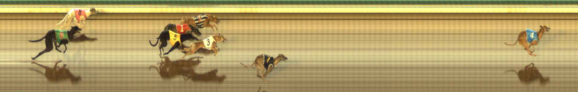 Photo finish for The Meadows Race 11