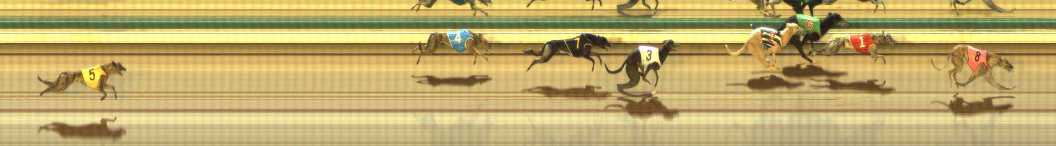 Photo finish for The Meadows Race 12