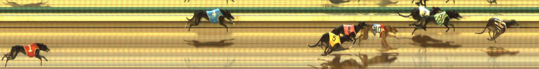 Photo finish for The Meadows Race 1