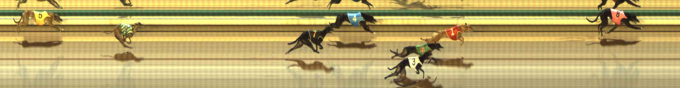 Photo finish for The Meadows Race 2