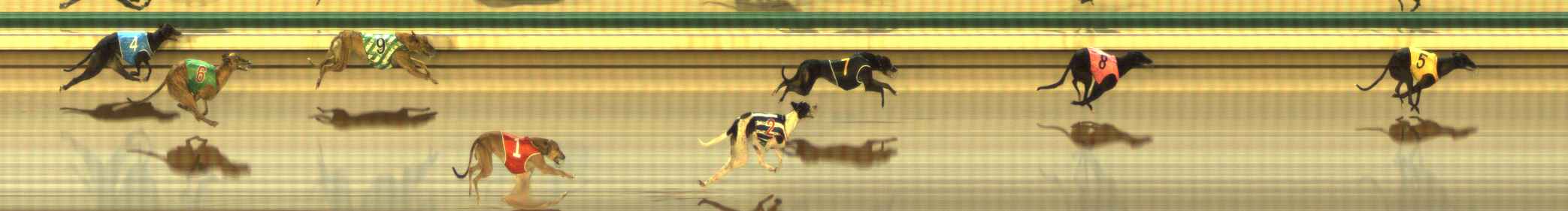Photo finish for The Meadows Race 3