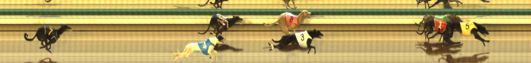 Photo finish for The Meadows Race 4