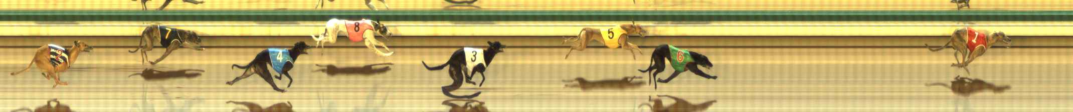 Photo finish for The Meadows Race 5