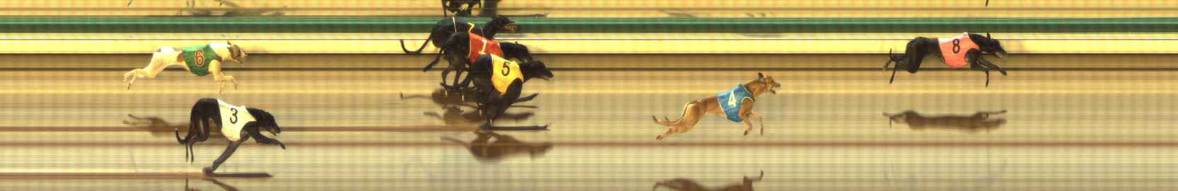 Photo finish for The Meadows Race 6
