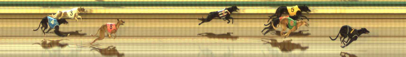 Photo finish for The Meadows Race 7