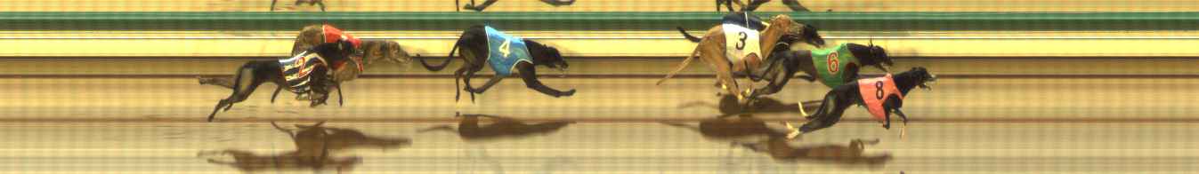 Photo finish for The Meadows Race 8