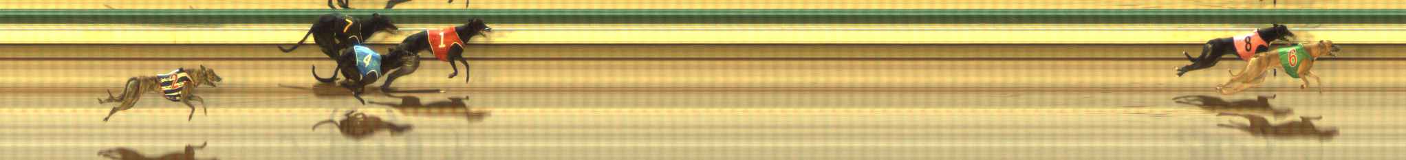 Photo finish for The Meadows Race 9
