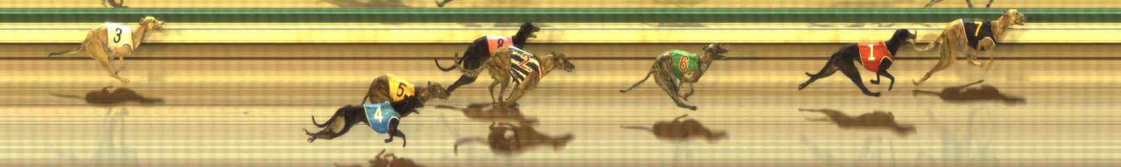 Photo finish for The Meadows Race 10