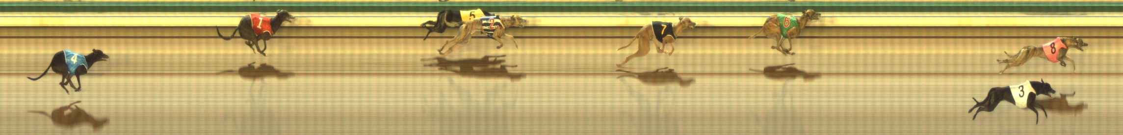 Photo finish for The Meadows Race 11