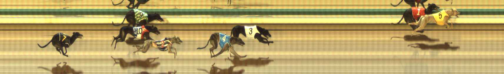 Photo finish for The Meadows Race 12