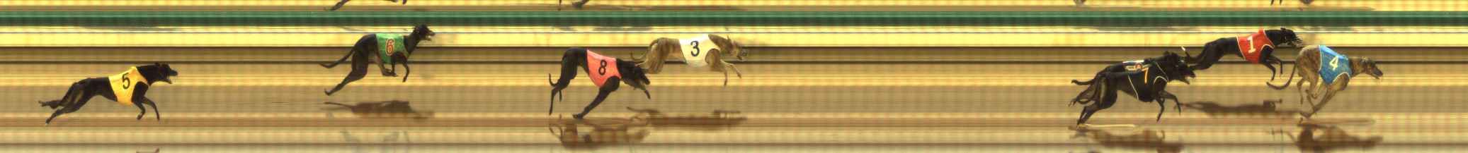 Photo finish for The Meadows Race 1
