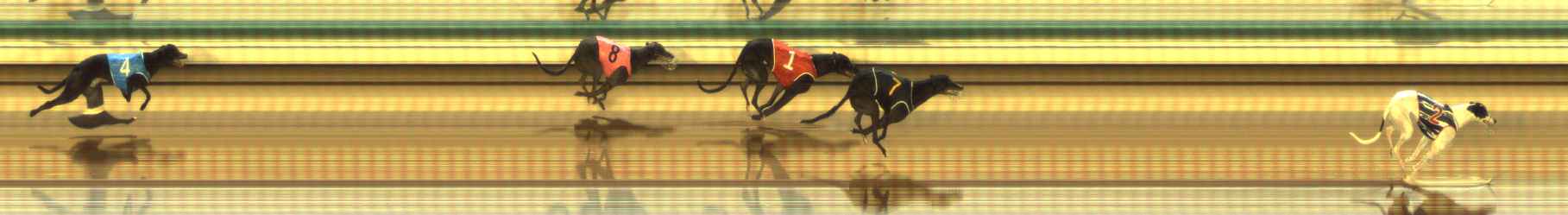 Photo finish for The Meadows Race 2