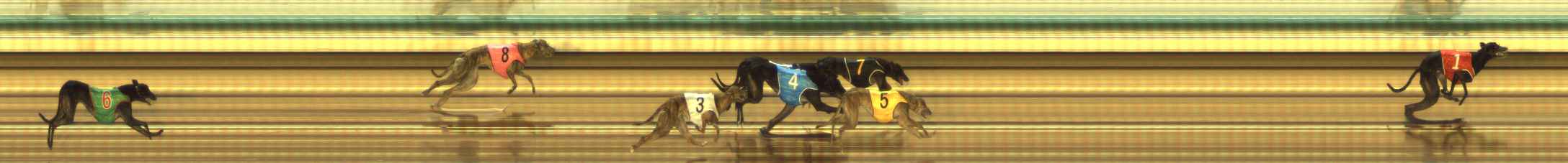 Photo finish for The Meadows Race 3