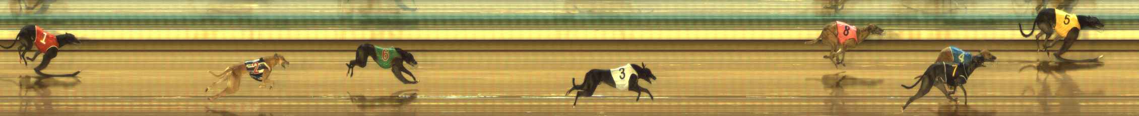 Photo finish for The Meadows Race 4