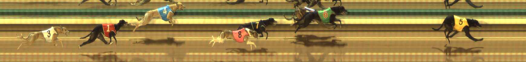 Photo finish for The Meadows Race 5