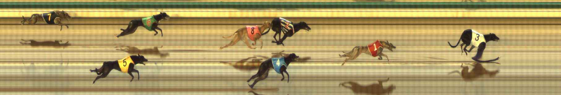 Photo finish for The Meadows Race 6