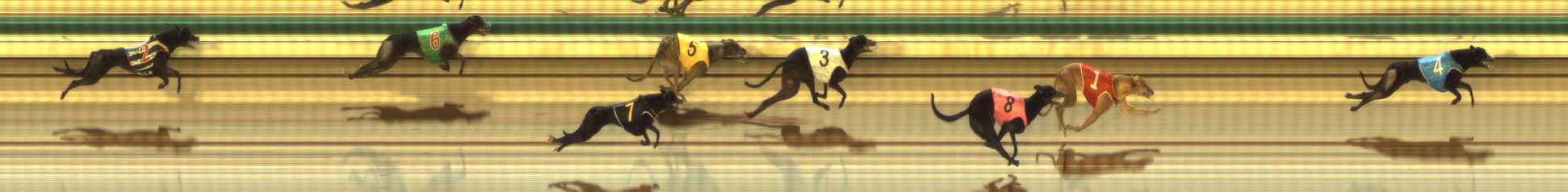 Photo finish for The Meadows Race 7