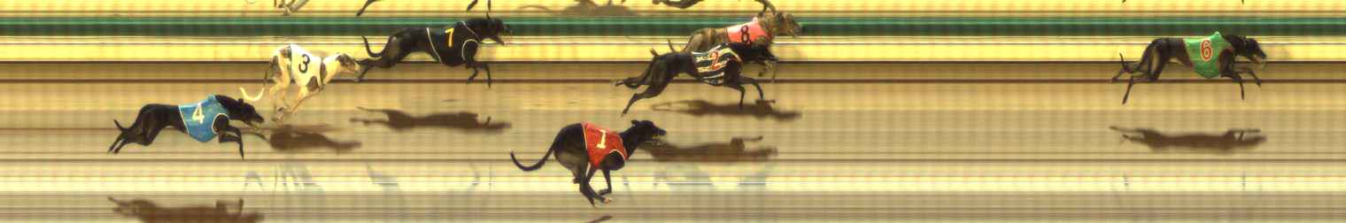 Photo finish for The Meadows Race 8