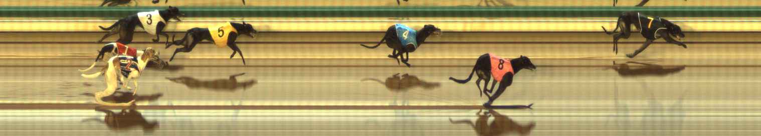 Photo finish for The Meadows Race 9