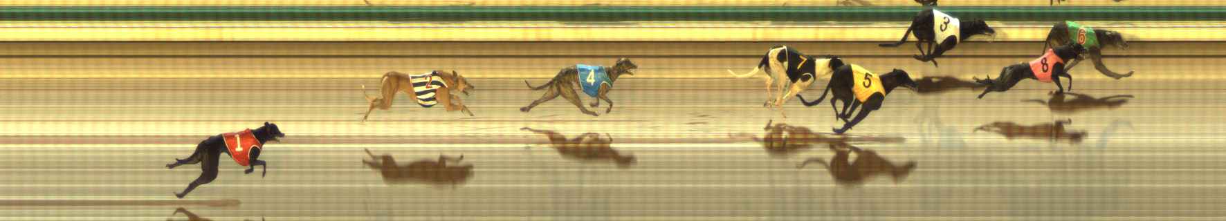 Photo finish for The Meadows Race 10