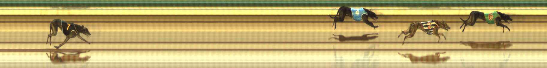 Photo finish for The Meadows Race 12