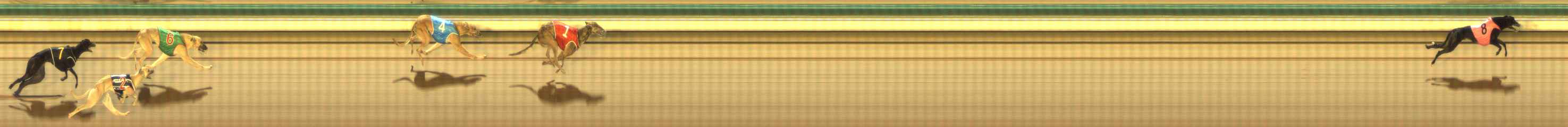 Photo finish for The Meadows Race 1