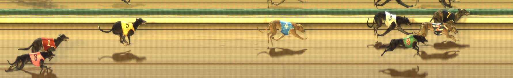 Photo finish for The Meadows Race 2