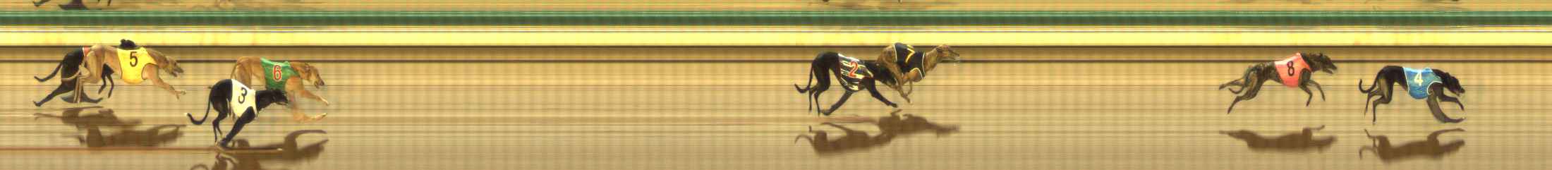Photo finish for The Meadows Race 3